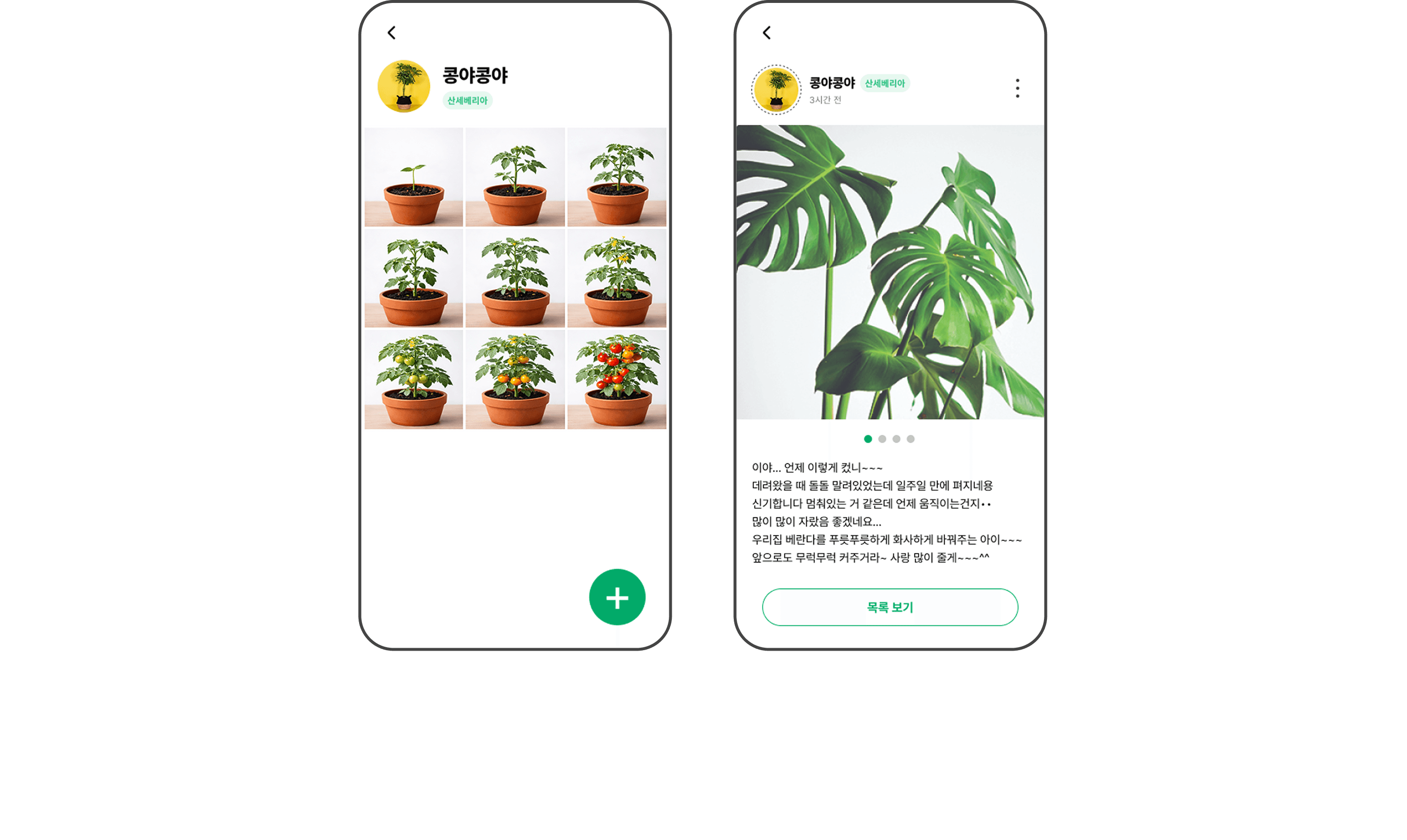 AI 기반 식물 진단 관리 앱 6